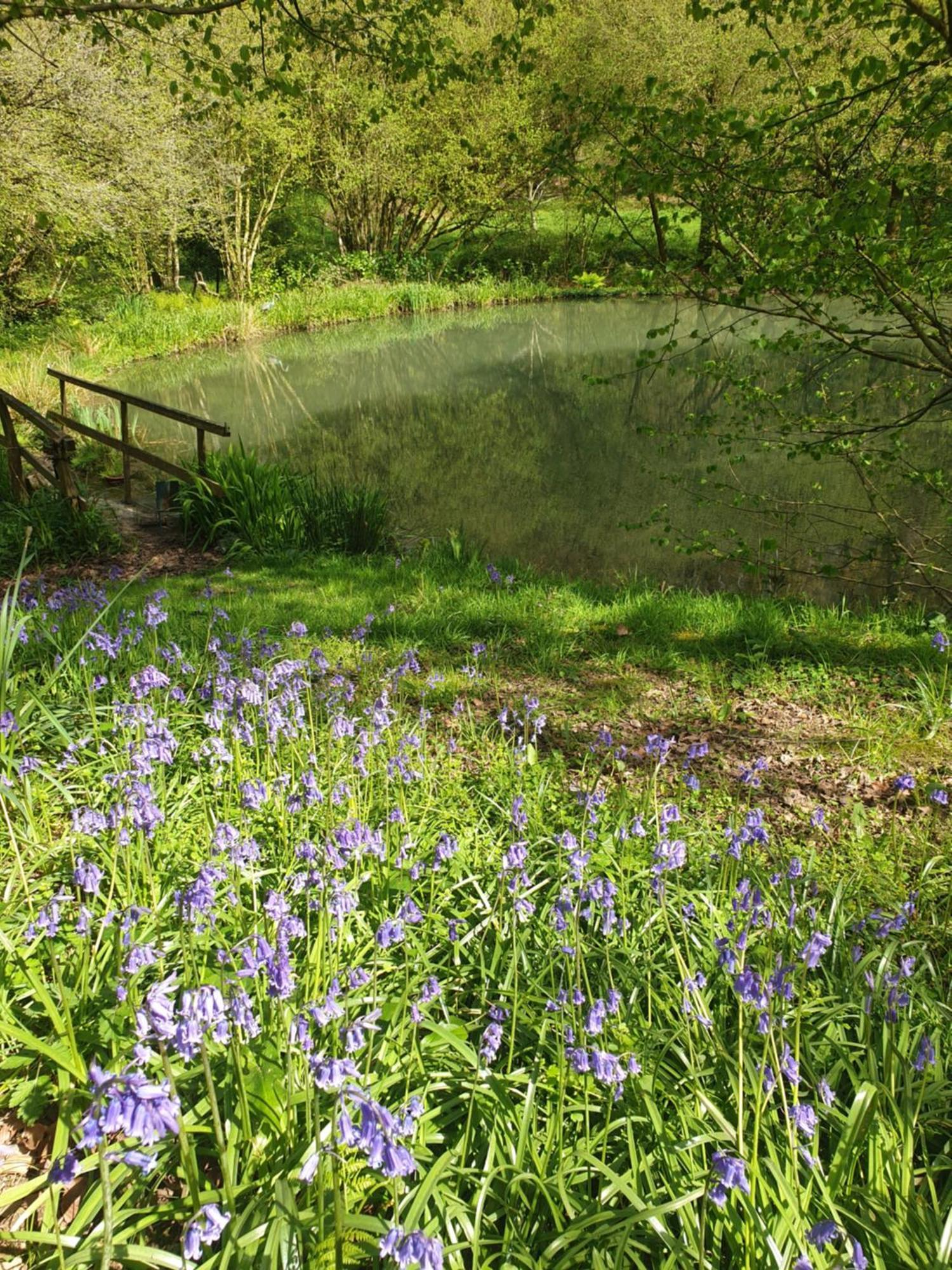 Fermette Dans Les Pays De La Loire Villa Ize Bagian luar foto