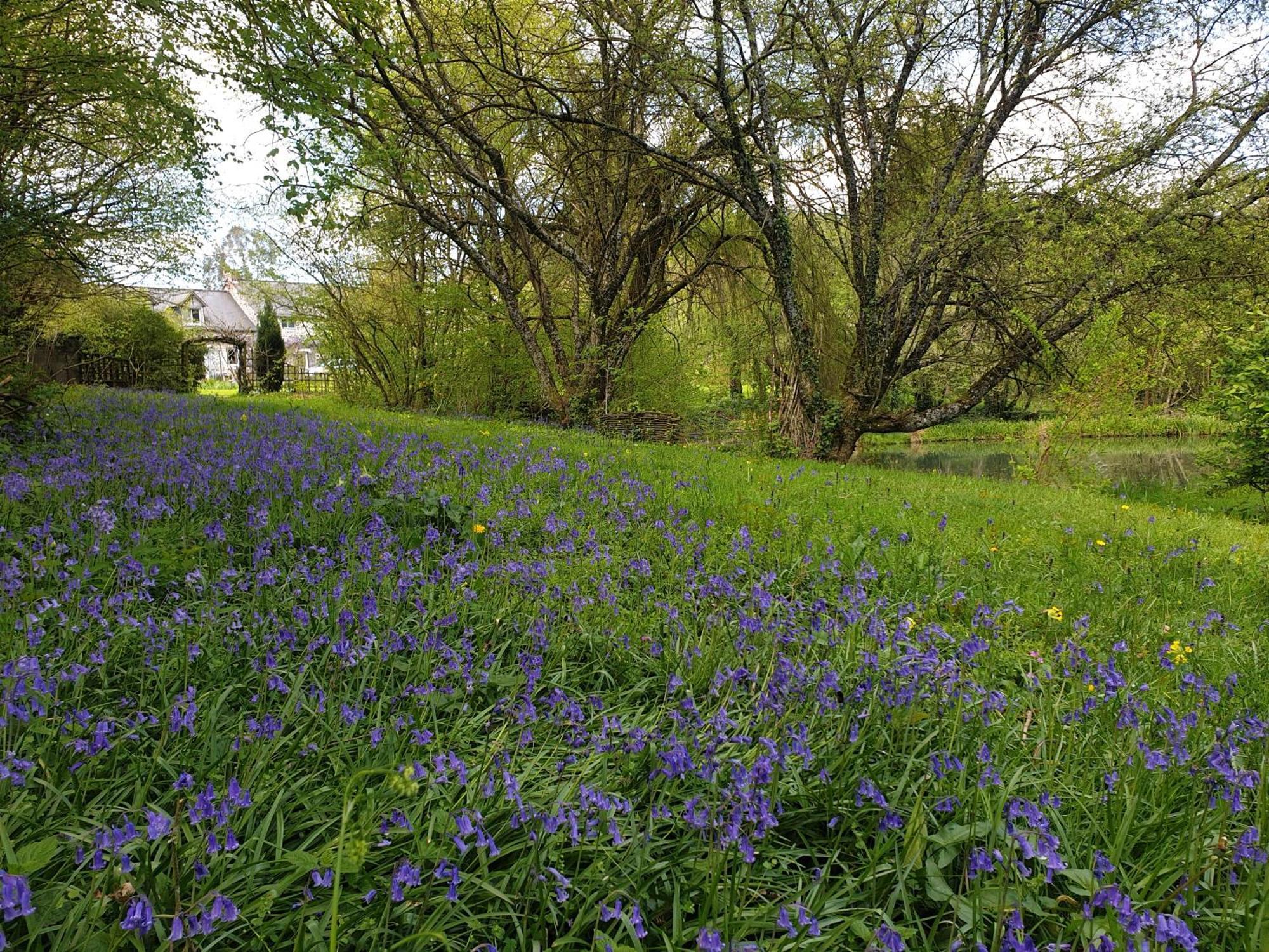 Fermette Dans Les Pays De La Loire Villa Ize Bagian luar foto