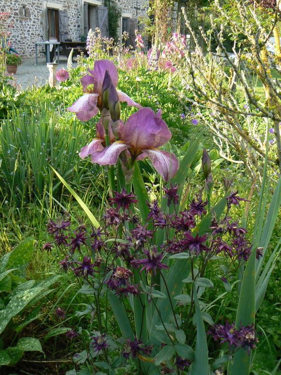 Fermette Dans Les Pays De La Loire Villa Ize Bagian luar foto