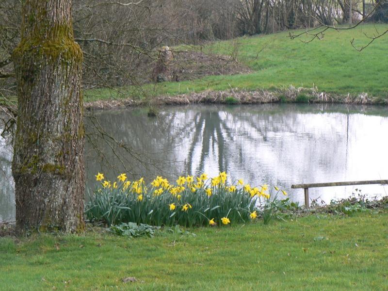 Fermette Dans Les Pays De La Loire Villa Ize Bagian luar foto