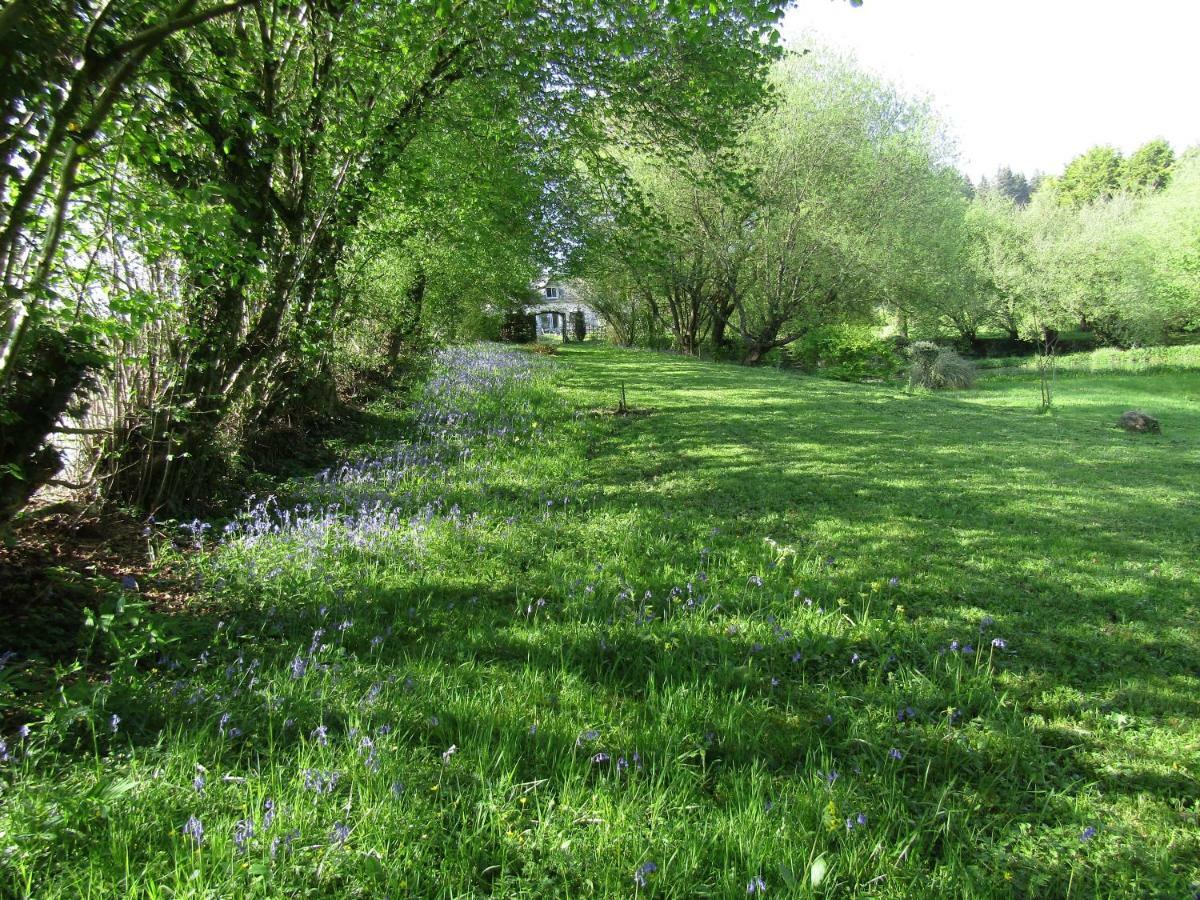 Fermette Dans Les Pays De La Loire Villa Ize Bagian luar foto